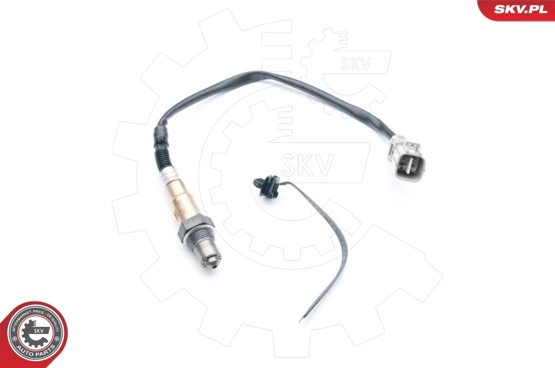 Oxygen Sensor